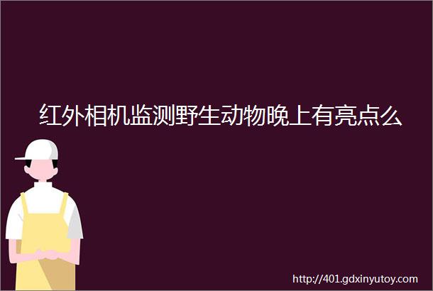 红外相机监测野生动物晚上有亮点么