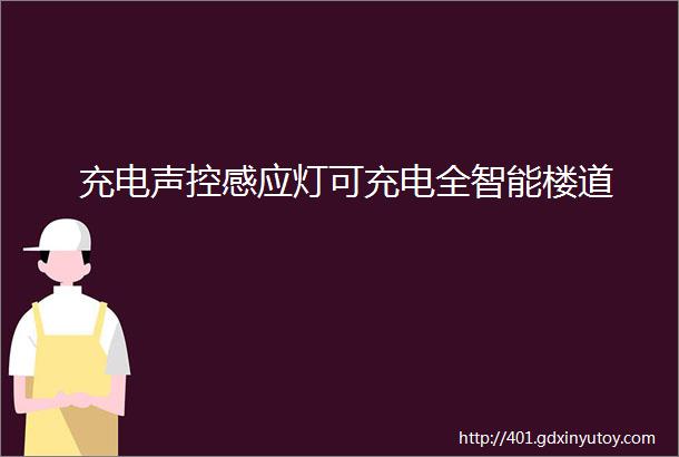 充电声控感应灯可充电全智能楼道